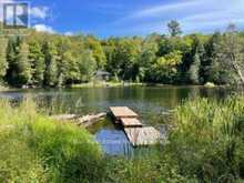 PT LT 15 CON 13 ALTON LANE | Minden Hills Ontario | Slide Image Ten