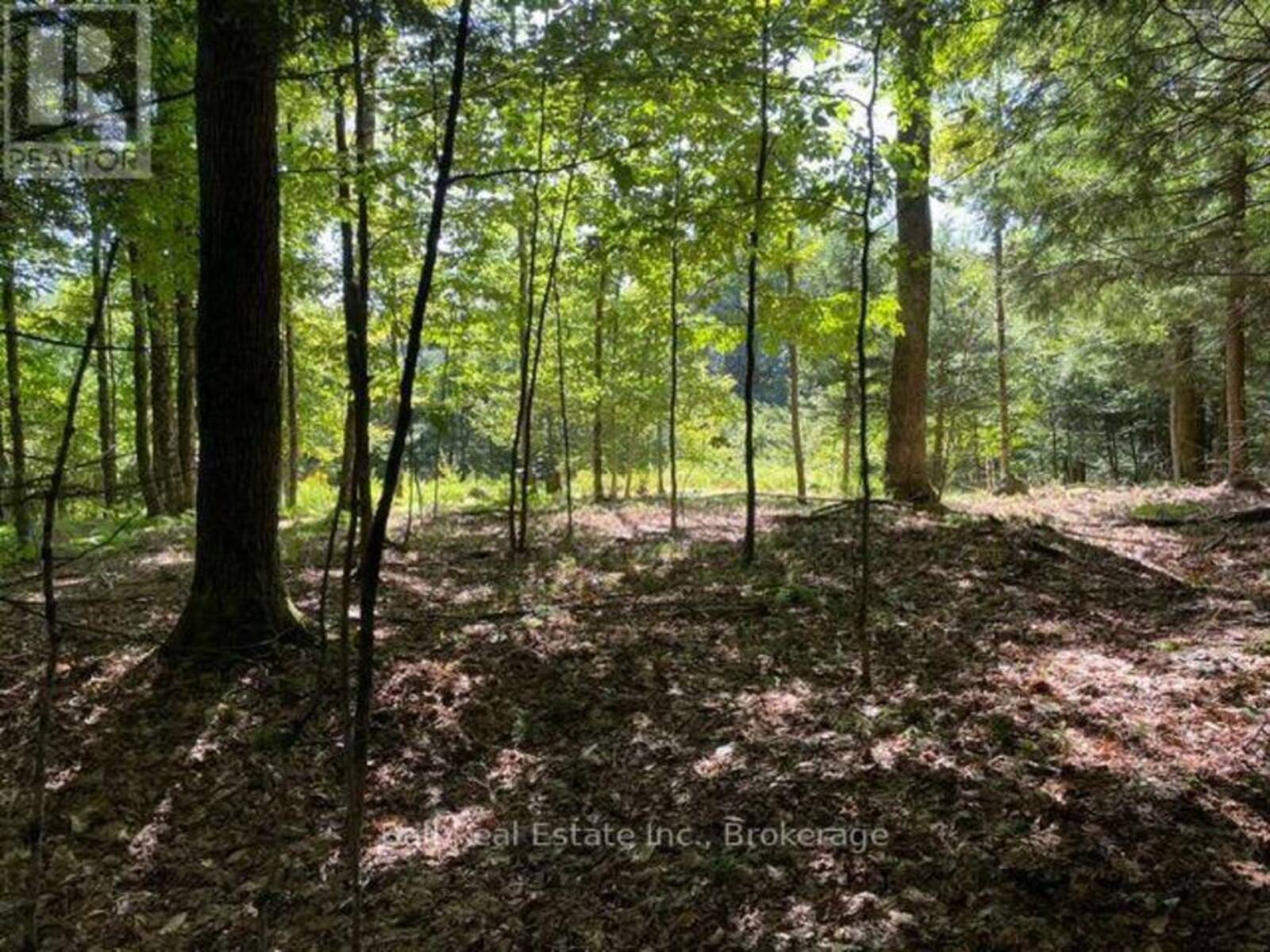 PT LT 15 CON 13 ALTON LANE, Minden Hills, Ontario K0M 2K0