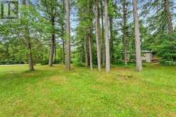856 BEL TWP 2ND LANE | Havelock-Belmont-Methuen Ontario | Slide Image Forty-six