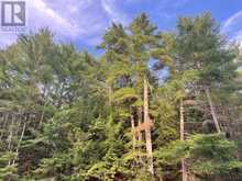 39 HOBO LANE | Bancroft Ontario | Slide Image Thirty
