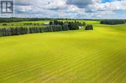 420 SOLANUM WAY | Kawartha Lakes Ontario | Slide Image Six