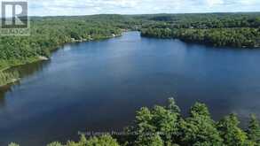 1070 PERRY LANE LOT 1 LANE | Addington Highlands Ontario | Slide Image Five