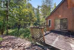 79 HONEYSUCKLE ROAD | Kawartha Lakes Ontario | Slide Image Twenty-three