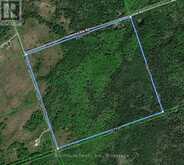 79 HONEYSUCKLE ROAD | Kawartha Lakes Ontario | Slide Image Thirty-seven