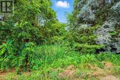 LOT 61 SUMMER DRIVE | Kawartha Lakes Ontario | Slide Image Four