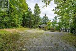 1077 PUKITIS TRAIL | Apsley Ontario | Slide Image Seven