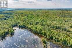 LOT 27 PART 1 - 505 BASS LAKE ROAD | Bobcaygeon Ontario | Slide Image Thirty-one