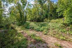 LOT 27 PART 1 - 505 BASS LAKE ROAD | Bobcaygeon Ontario | Slide Image Three