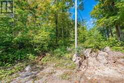 LOT 27 PART 1 - 505 BASS LAKE ROAD | Bobcaygeon Ontario | Slide Image Five