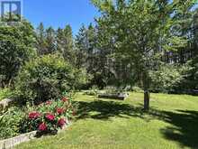 2756 COUNTY ROAD 38 | Douro-Dummer Ontario | Slide Image Thirty-nine