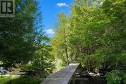 215 FIFTH LINE DUMMER SOUTH ROAD | Douro-Dummer Ontario | Slide Image Thirty-six