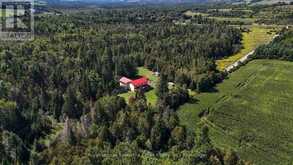1752 HIGHWAY 35 S | Kawartha Lakes Ontario | Slide Image Thirty-three