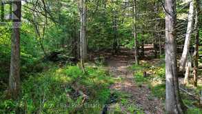 85 FIRE ROUTE 19C ROUTE | Havelock-Belmont-Methuen Ontario | Slide Image Ten