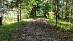 85 FIRE ROUTE 19C ROUTE | Havelock-Belmont-Methuen Ontario | Slide Image Thirteen