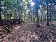 85 FIRE ROUTE 19C ROUTE | Havelock-Belmont-Methuen Ontario | Slide Image Nineteen