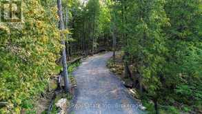 85 FIRE ROUTE 19C ROUTE | Havelock-Belmont-Methuen Ontario | Slide Image Five