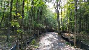 85 FIRE ROUTE 19C ROUTE | Havelock-Belmont-Methuen Ontario | Slide Image Six