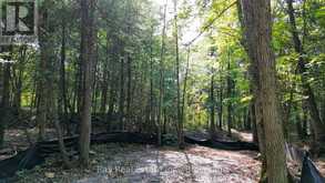 85 FIRE ROUTE 19C ROUTE | Havelock-Belmont-Methuen Ontario | Slide Image Seven