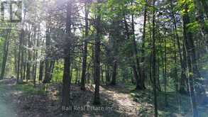 85 FIRE ROUTE 19C ROUTE | Havelock-Belmont-Methuen Ontario | Slide Image Eight