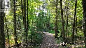 85 FIRE ROUTE 19C ROUTE | Havelock-Belmont-Methuen Ontario | Slide Image Nine