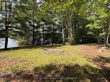 596 RIVER ROAD | Madawaska Valley Ontario | Slide Image Twenty-five