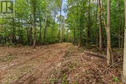 596 RIVER ROAD | Madawaska Valley Ontario | Slide Image Thirty-one