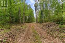 596 RIVER ROAD | Madawaska Valley Ontario | Slide Image Thirty-two