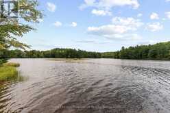 596 RIVER ROAD | Madawaska Valley Ontario | Slide Image Thirty-five