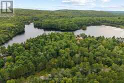 596 RIVER ROAD | Madawaska Valley Ontario | Slide Image Thirty-eight