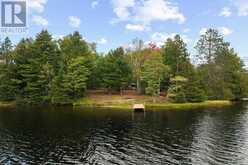596 RIVER ROAD | Madawaska Valley Ontario | Slide Image Three