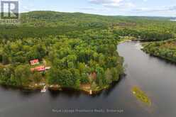 596 RIVER ROAD | Madawaska Valley Ontario | Slide Image Forty-one