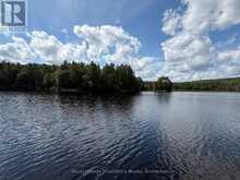 596 RIVER ROAD | Madawaska Valley Ontario | Slide Image Forty-five