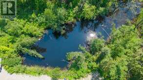 4006 COUNTY RD 36 | North Kawartha Ontario | Slide Image Six