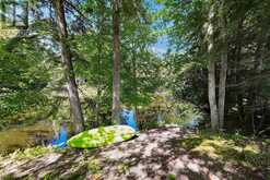 2433 COUNTY RD 121 ROAD | Kawartha Lakes Ontario | Slide Image Forty-six