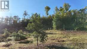 406 COUNTRY LANE | Peterborough Ontario | Slide Image Fifteen