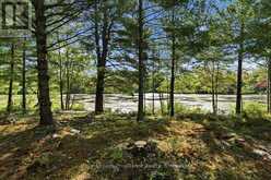 292 HARTIN ROAD | Addington Highlands Ontario | Slide Image Eleven