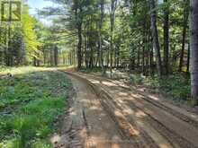 292 HARTIN ROAD | Addington Highlands Ontario | Slide Image Thirty-nine