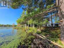 292 HARTIN ROAD | Addington Highlands Ontario | Slide Image Twenty-eight