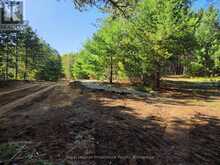 292 HARTIN ROAD | Addington Highlands Ontario | Slide Image Thirty-two