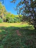 292 HARTIN ROAD | Addington Highlands Ontario | Slide Image Thirty-five