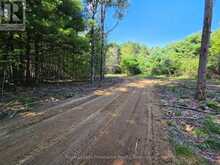 292 HARTIN ROAD | Addington Highlands Ontario | Slide Image Thirty-eight