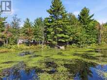 292 HARTIN ROAD | Addington Highlands Ontario | Slide Image Three