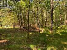 0 OLD HASTINGS ROAD | Coe Hill Ontario | Slide Image Fifteen