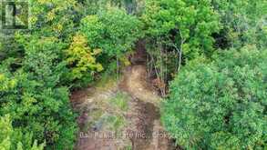 0 OLD HASTINGS ROAD | Coe Hill Ontario | Slide Image Seven
