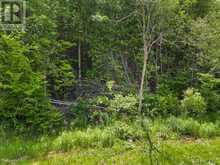 0 MARLBANK RD | Tweed Ontario | Slide Image Three