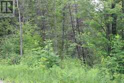 0 MARLBANK RD | Tweed Ontario | Slide Image Five