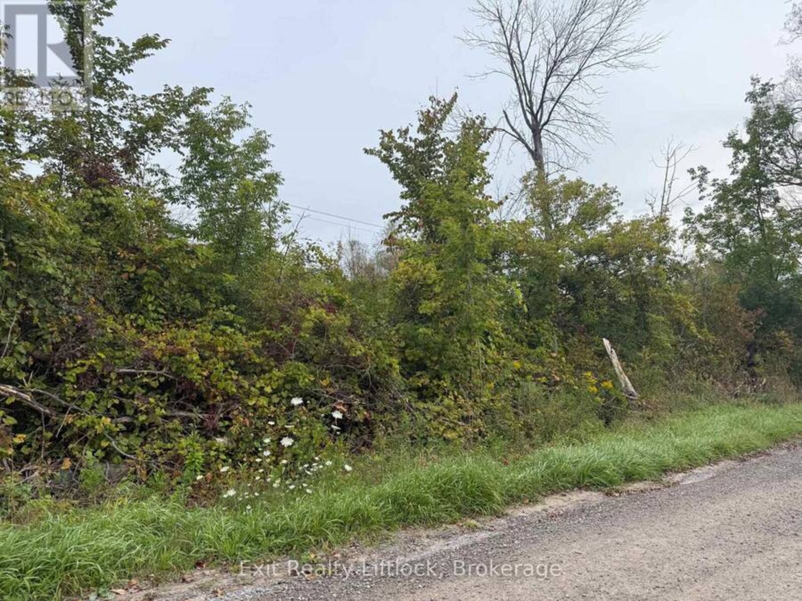 00 BAGLEY ROAD, Trent Hills, Ontario K0K 3K0