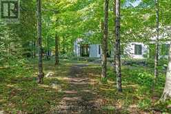 280 CEDARWOOD DRIVE | North Kawartha Ontario | Slide Image Forty-six