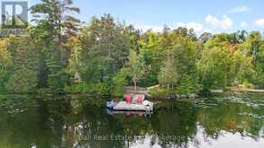 280 CEDARWOOD DRIVE | North Kawartha Ontario | Slide Image Fifty