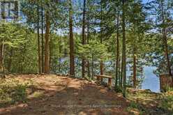 2134 BEACH ROAD | North Frontenac Ontario | Slide Image Thirty-two